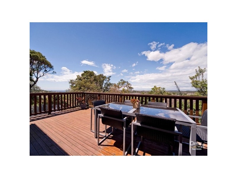 29 Alfred Road, Brookvale NSW 2100