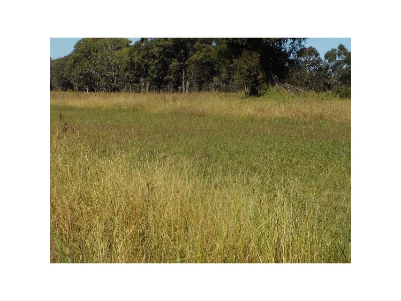 Wilton NSW 2571