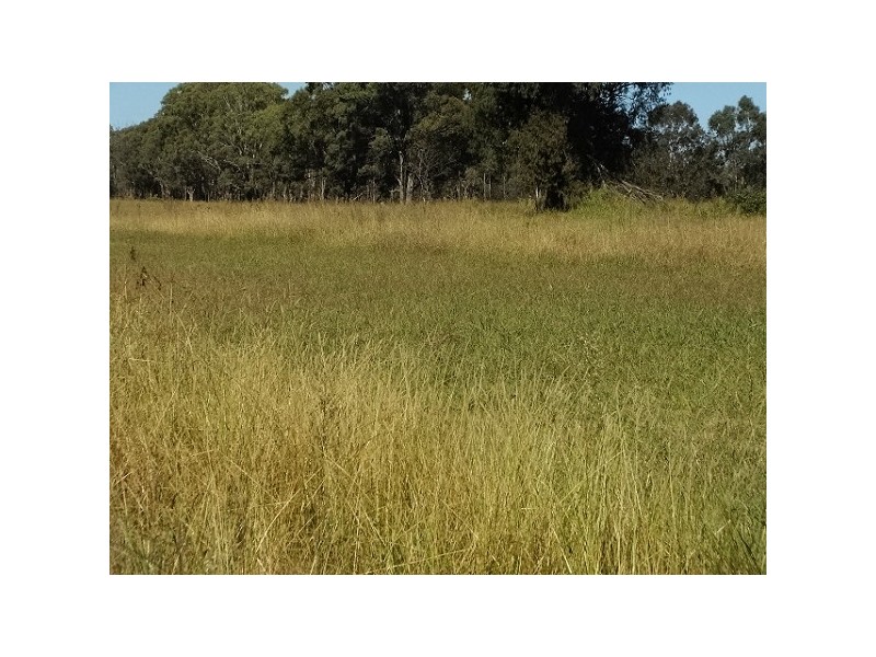 Wilton NSW 2571