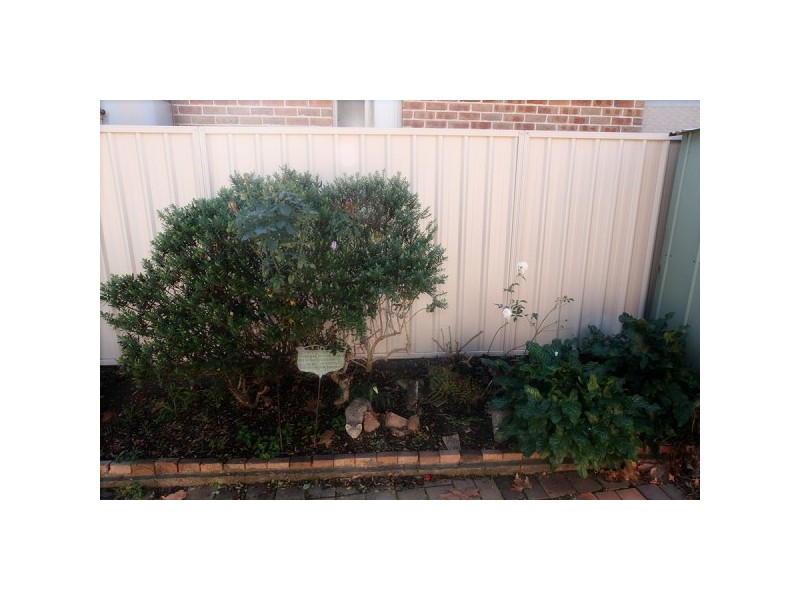Unit1 60-62 Argyle Street, Picton NSW 2571