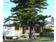 Buxton NSW 2571