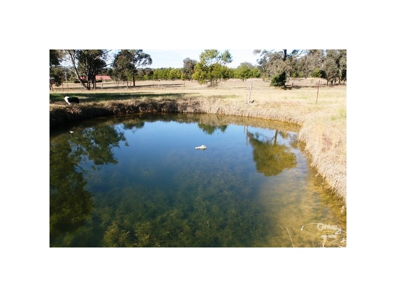 225 Hawthorne Road, Bargo NSW 2574