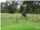 55 Dymond Street, Bargo NSW 2574