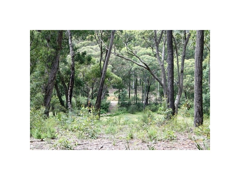 182 Sackville Street, Hill Top NSW 2575