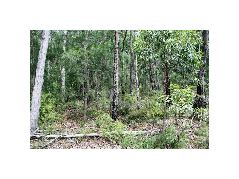 182 Sackville Street, Hill Top NSW 2575