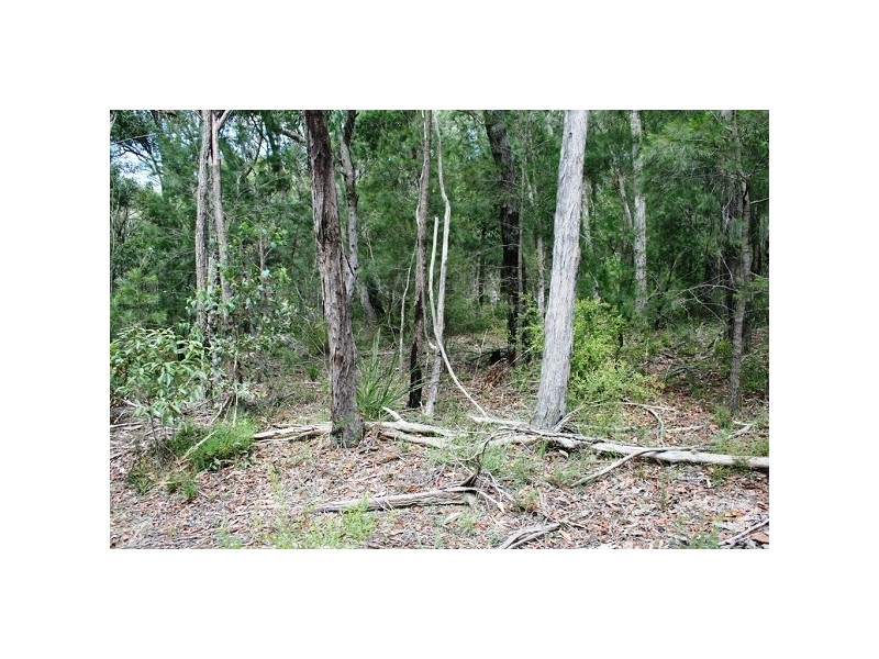 182 Sackville Street, Hill Top NSW 2575