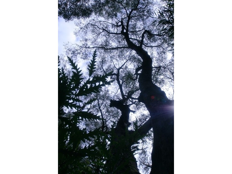 182 Sackville Street, Hill Top NSW 2575