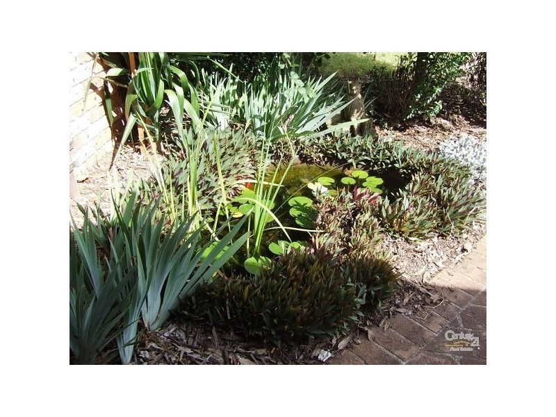 15 Ryan Street, Thirlmere NSW 2572