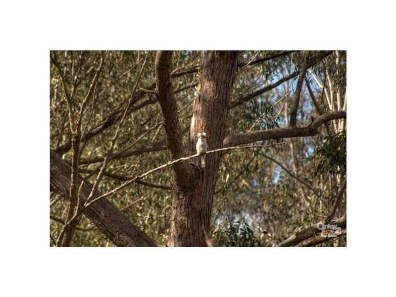 5 Gibraltar Drive, Razorback NSW 2571