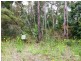 41 Yanderra Road, Yanderra NSW 2574
