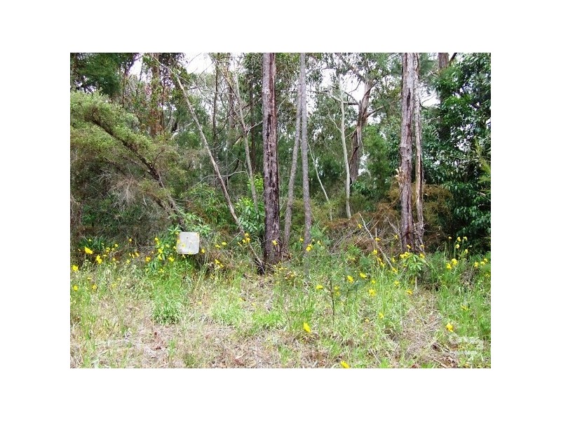 41 Yanderra Road, Yanderra NSW 2574