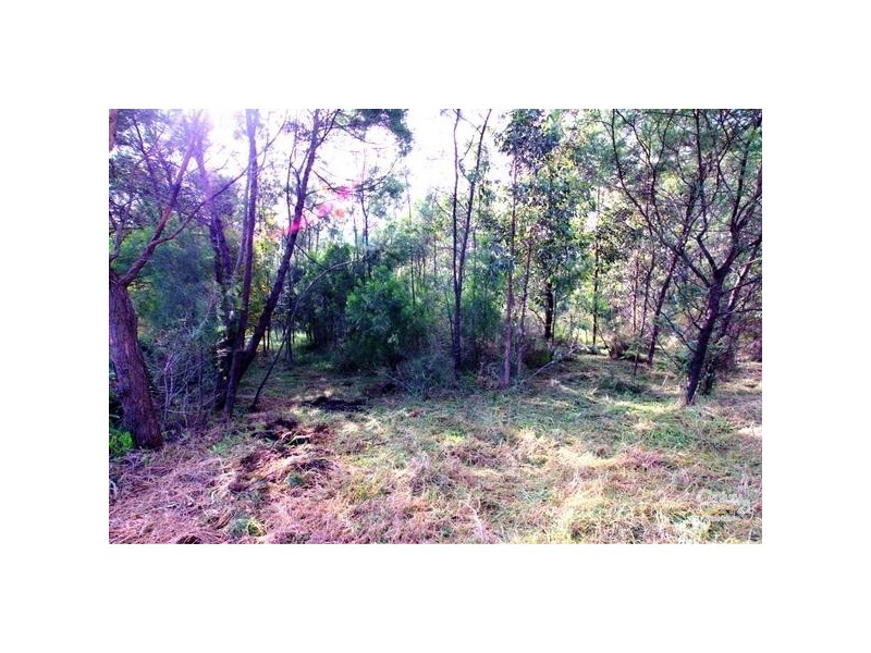 127 Avon Dam Road, Bargo NSW 2574