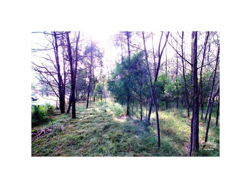 127 Avon Dam Road, Bargo NSW 2574