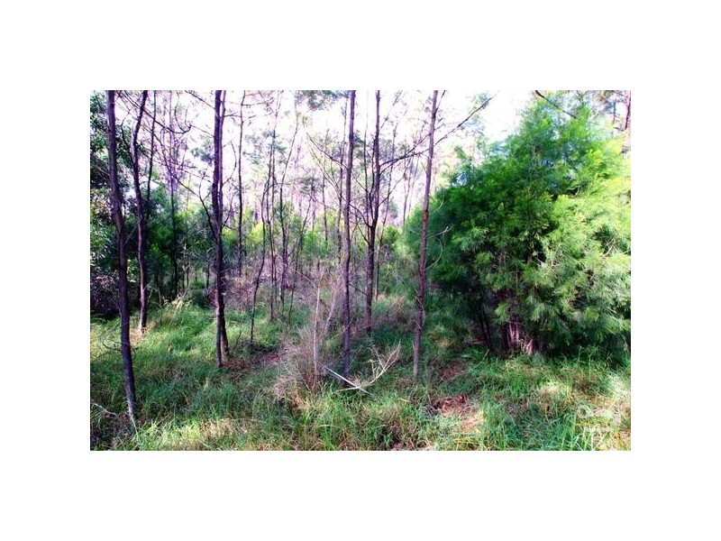 127 Avon Dam Road, Bargo NSW 2574