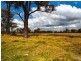 Thirlmere NSW 2572