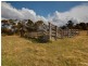 Thirlmere NSW 2572