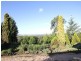 2326 Remembrance Drive, Picton NSW 2571