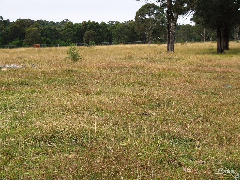 52 Wilton Road, Wilton NSW 2571