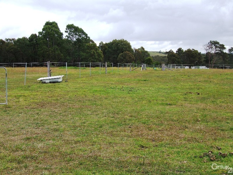 52 Wilton Road, Wilton NSW 2571