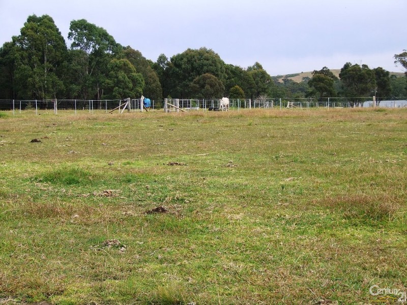 52 Wilton Road, Wilton NSW 2571