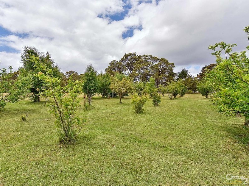 225 Bargo Road, Bargo NSW 2574