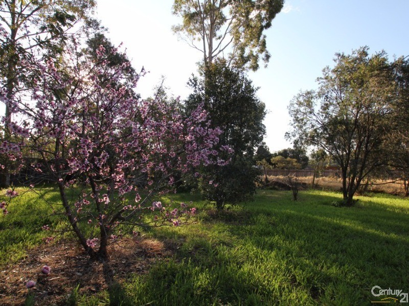 124 Hawthorne Road, Bargo NSW 2574