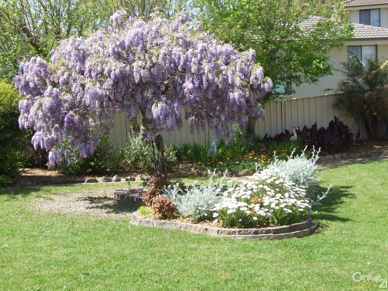 16 Middleton Place, Picton NSW 2571