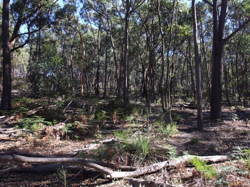127 Kettles Lane, Tallong NSW 2579