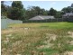 Proposed Lot 707 Sunrise Place, Thirlmere NSW 2572