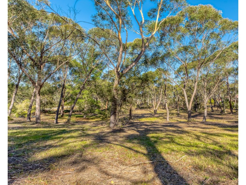 77 Boundary Road, Buxton NSW 2571