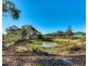 665 Pheasants Nest Road, Pheasants Nest NSW 2574