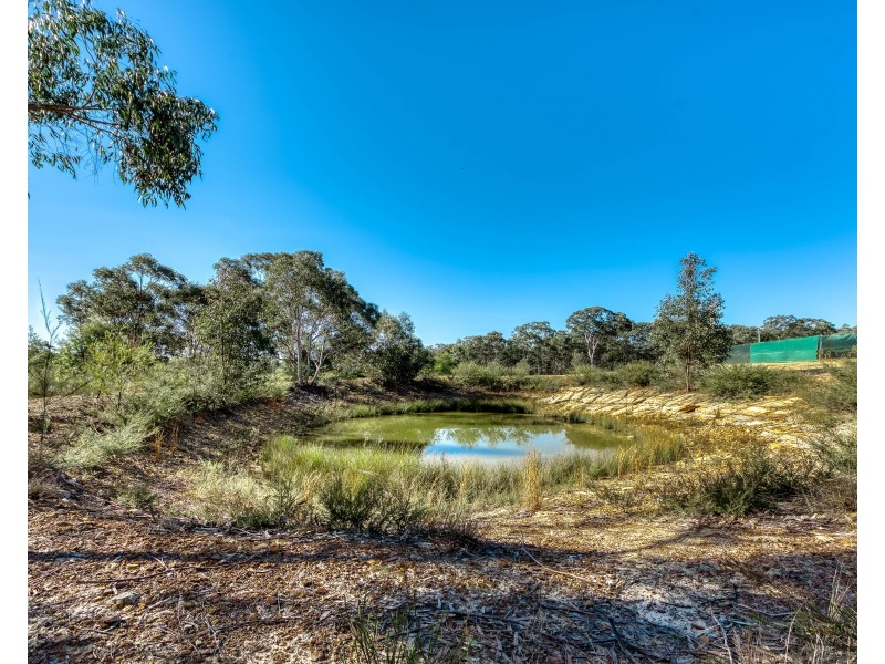 665 Pheasants Nest Road, Pheasants Nest NSW 2574