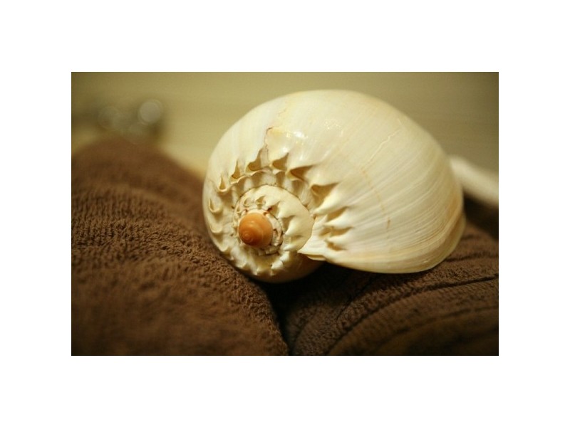 38 Thompson Street, Scotland Island NSW 2105