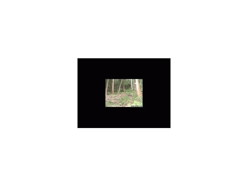 52 Thompson Street, Scotland Island NSW 2105