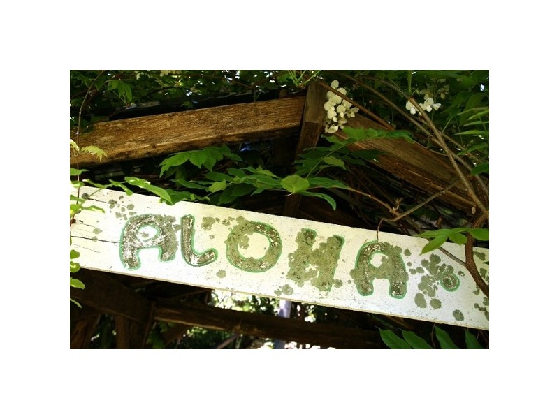 29 Monash Avenue, Great Mackerel Beach NSW 2108