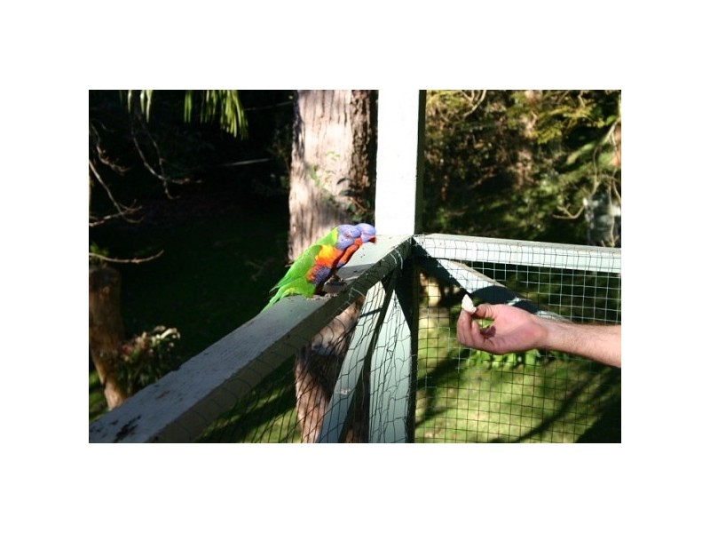 53 Monash Avenue, Great Mackerel Beach NSW 2108