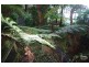 14 The Chase, Lovett Bay NSW 2105