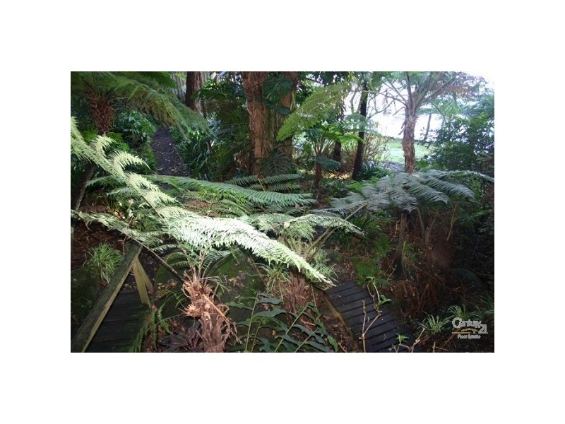 14 The Chase, Lovett Bay NSW 2105