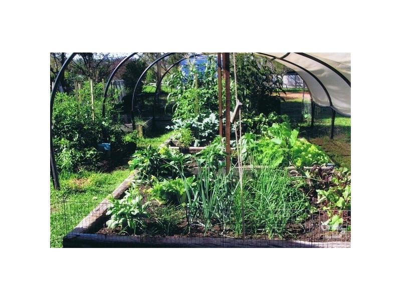 86 Martin Street, Coolah NSW 2843