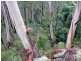 43A Bells Line Of Road, Mount Tomah NSW 2758