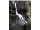 43A Bells Line Of Road, Mount Tomah NSW 2758