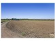 364 Pitt Town Bottoms Road, Pitt Town Bottoms NSW 2756