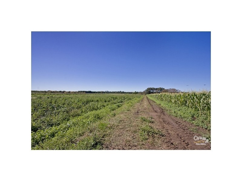 364 Pitt Town Bottoms Road, Pitt Town Bottoms NSW 2756