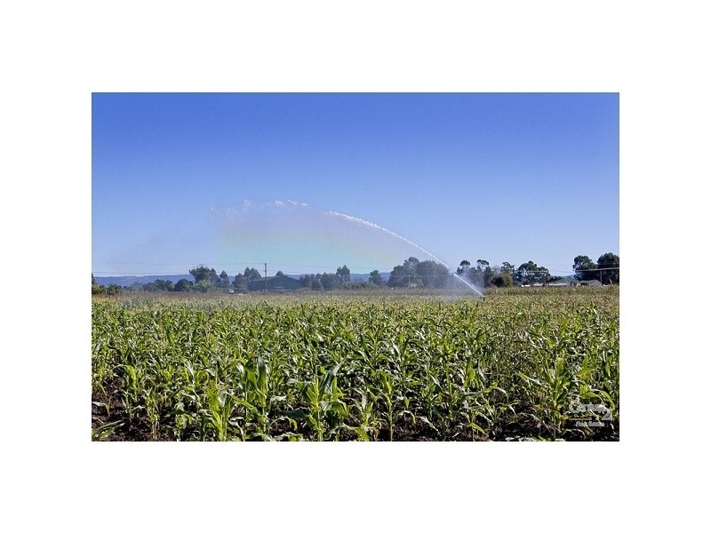 364 Pitt Town Bottoms Road, Pitt Town Bottoms NSW 2756