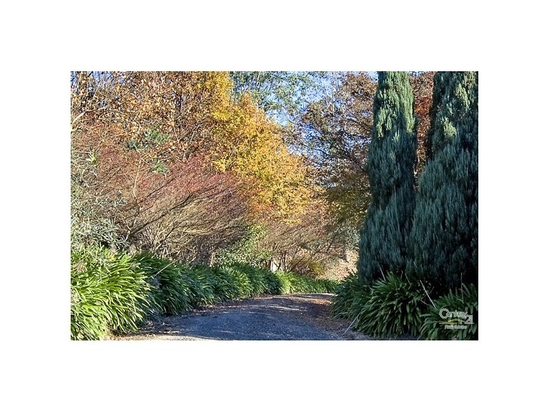 66 Uworra Road, Wilberforce NSW 2756