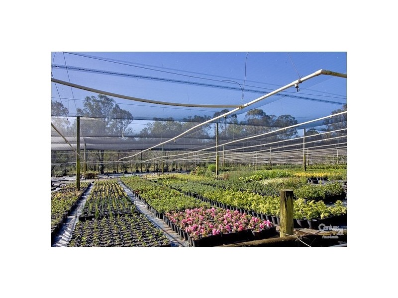 66 Uworra Road, Wilberforce NSW 2756