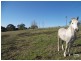 23 Cedar Ridge Road, Kurrajong NSW 2758
