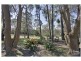 512 Halcrows Road, Cattai NSW 2756