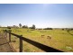 191 Willeroo Drive, Windsor Downs NSW 2756