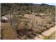 5265 Wisemans Ferry Road, Spencer NSW 2775
